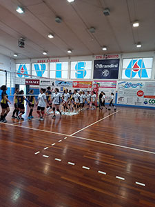 pv saluto
